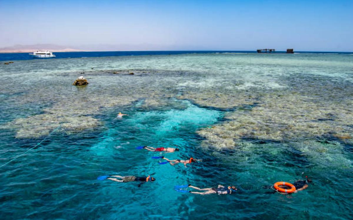 Tiran Island Boat Trip – Snorkeling & Diving Adventure