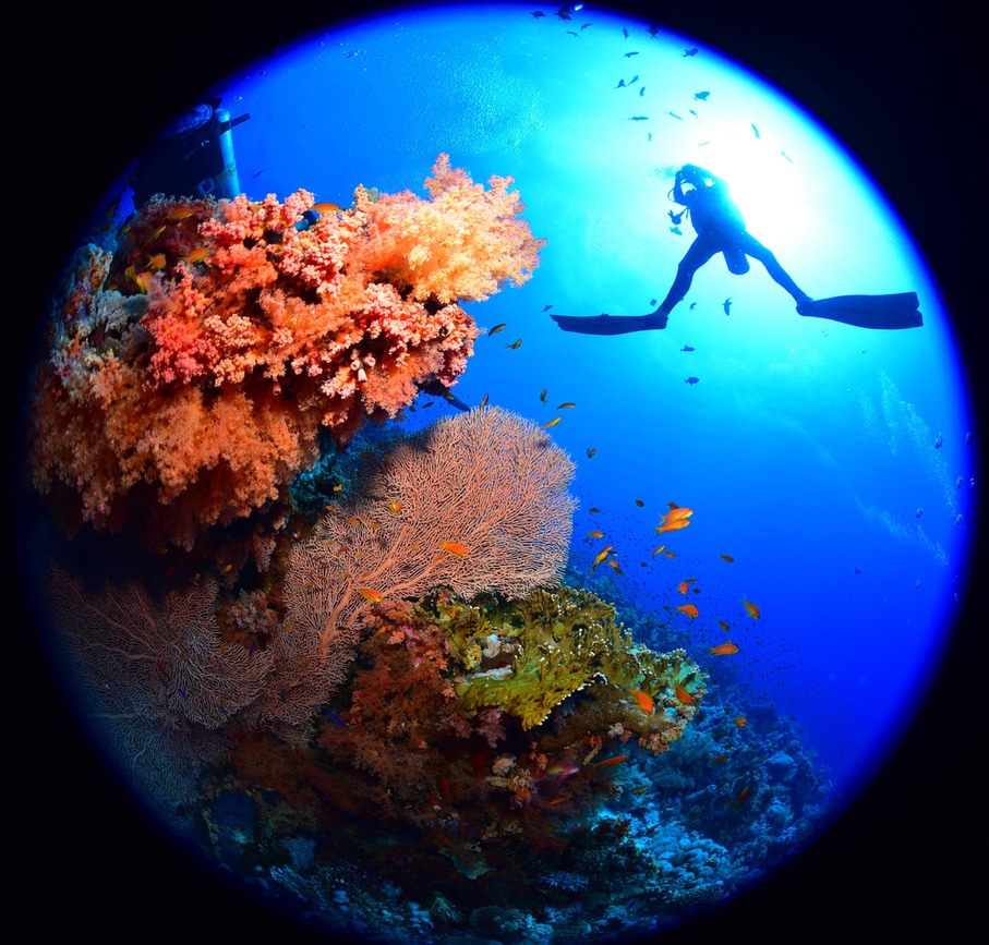 13 Day Advanced Diving Package  For Certified Divers