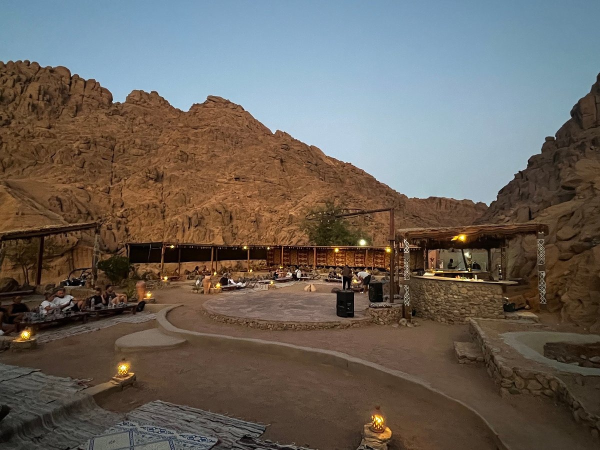 1Desert Safari: Quad, Camel, Dinner VIB and Oriental show