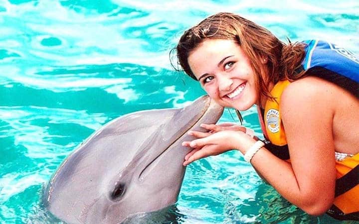 1Dolphin Show & Swim with Dolphins – 2 in 1 Experience