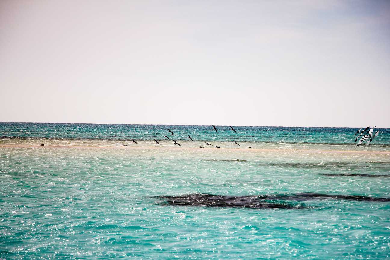 9Sharm Signature Adventure – 3 Trips in One Experience