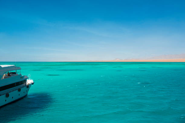2🌊 Ras Mohammed & White Island Boat Trip-snorkeling-diving-adventure