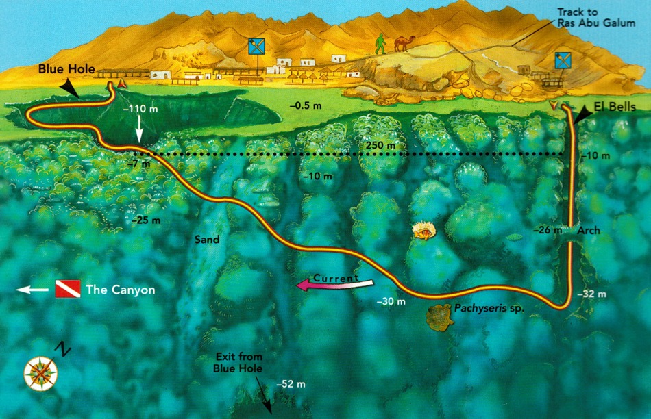 20Giornata di Immersioni a Dahab Canyon e Blue Hole