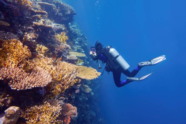 21Giornata di Immersioni a Dahab Canyon e Blue Hole