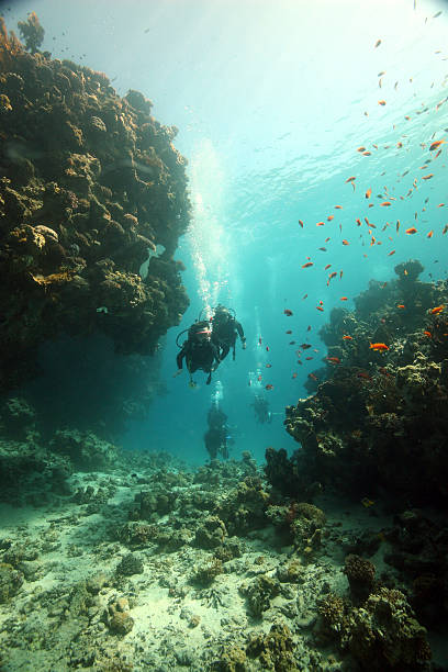 24Giornata di Immersioni a Dahab Canyon e Blue Hole