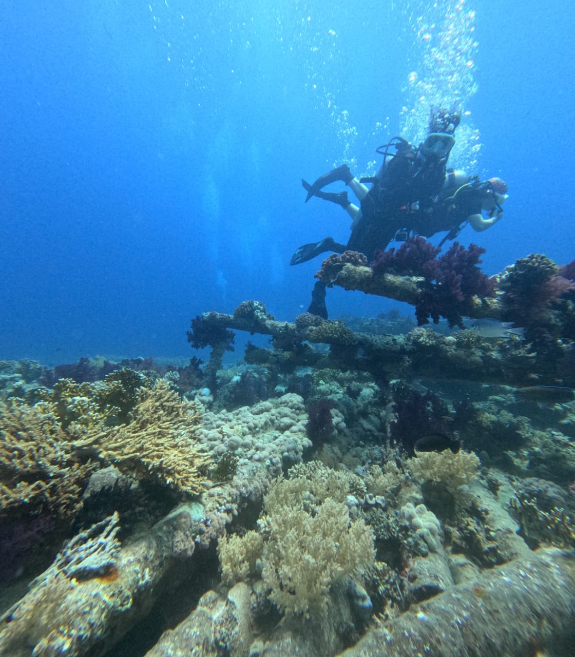 6ss Thistlegorm