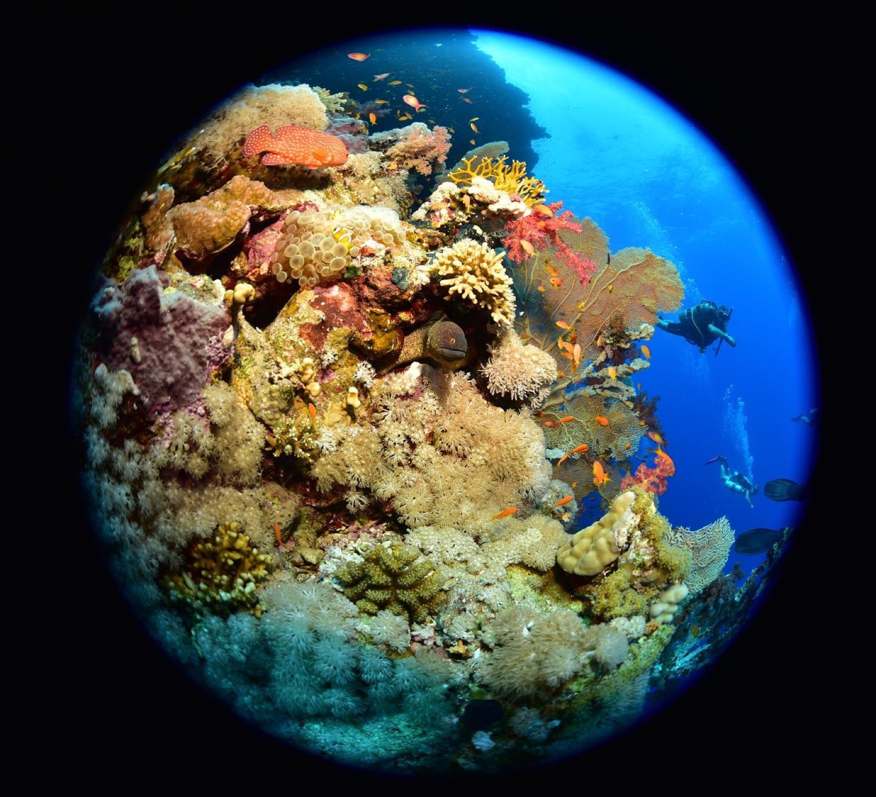 23 Day Advanced Diving Package  For Certified Divers