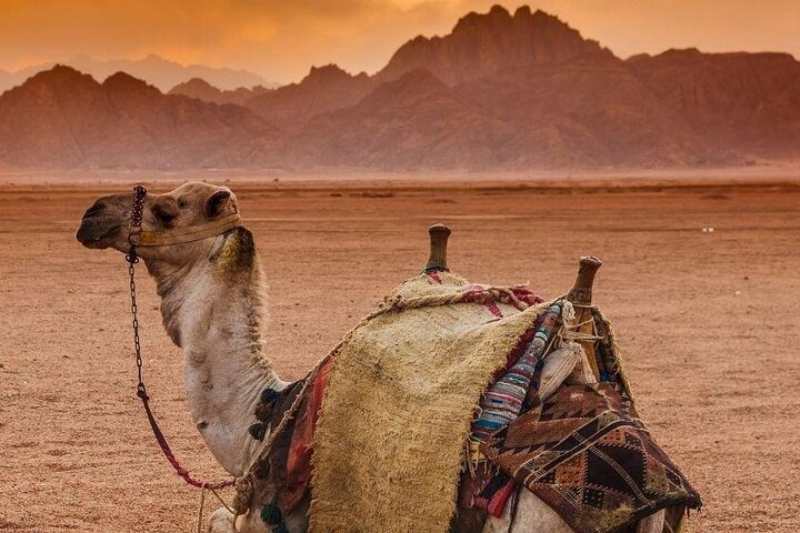3Safari in Quad nel Deserto di Sharm El Sheikh