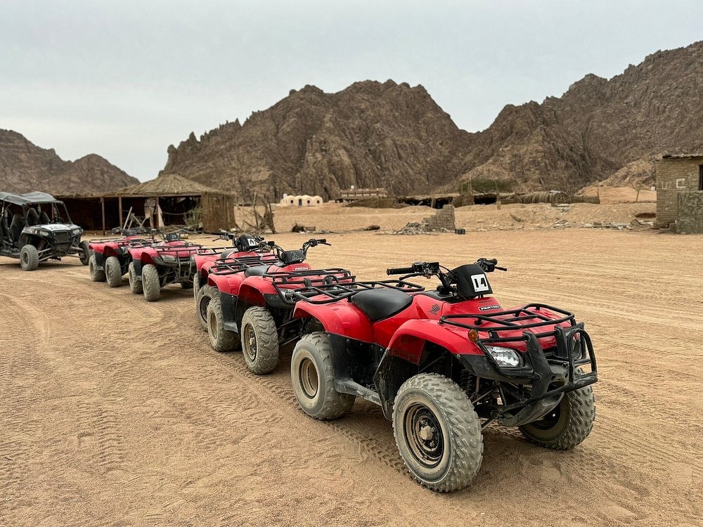 3Desert Safari: Quad, Camel, Dinner VIB and Oriental show