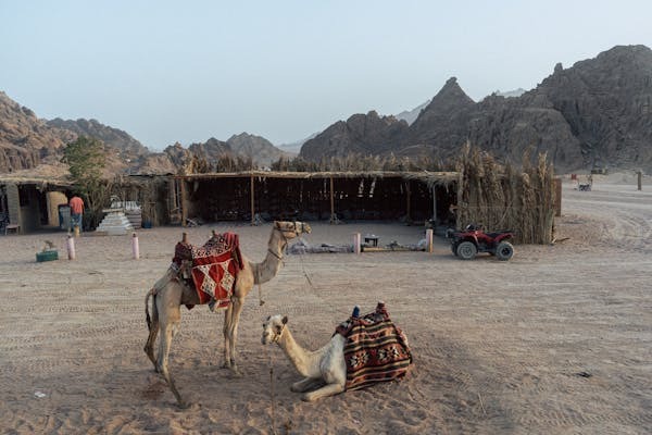 3Sharm Signature Adventure – 3 Trips in One Experience