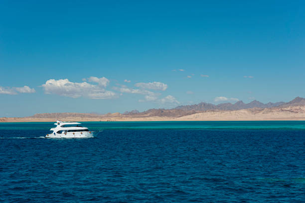 11Sharm Signature Adventure – 3 Trips in One Experience