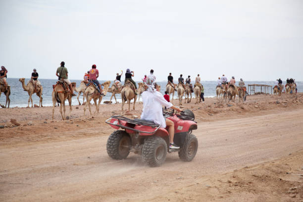3🏜️ Canyon Colorato, Snorkeling al Blue Hole e Tour di Dahab