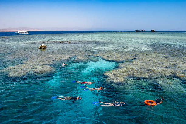 4Tiran Island Boat Trip – Snorkeling & Diving Adventure