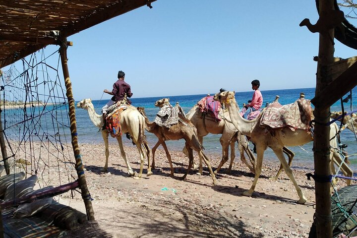12🏜️ Canyon Colorato, Snorkeling al Blue Hole e Tour di Dahab