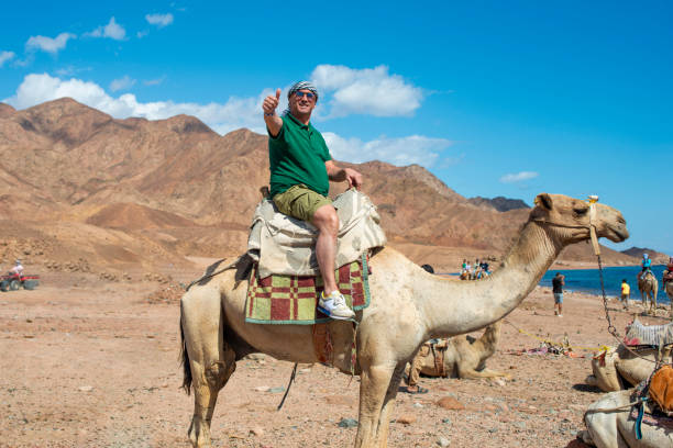 5Desert Safari: Quad, Camel, Dinner VIB and Oriental show