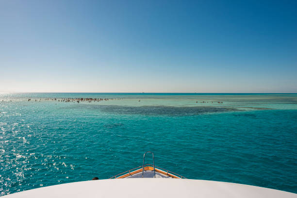 5🌊 Ras Mohammed & White Island Boat Trip-snorkeling-diving-adventure