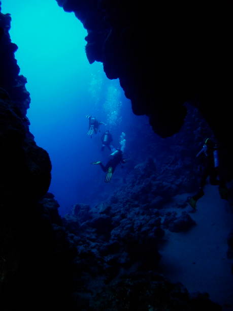 15Giornata di Immersioni a Dahab Canyon e Blue Hole