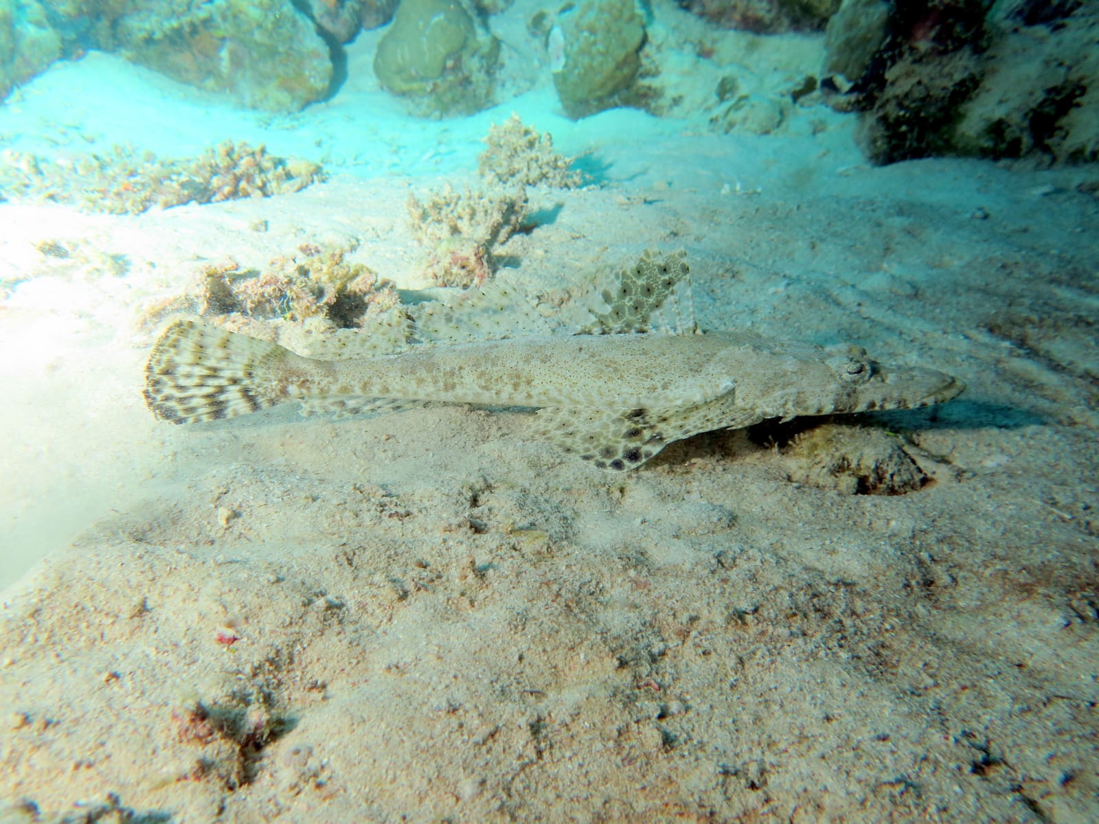 7Advanced Open Water Diver Corso