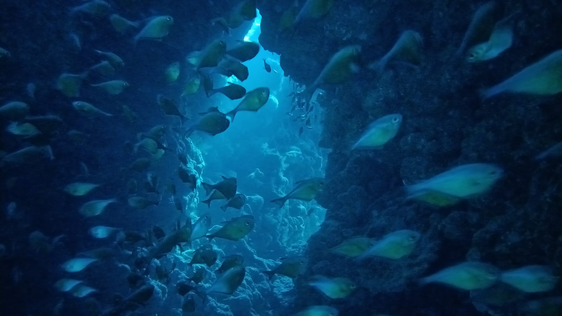 9Giornata di Immersioni a Dahab Canyon e Blue Hole