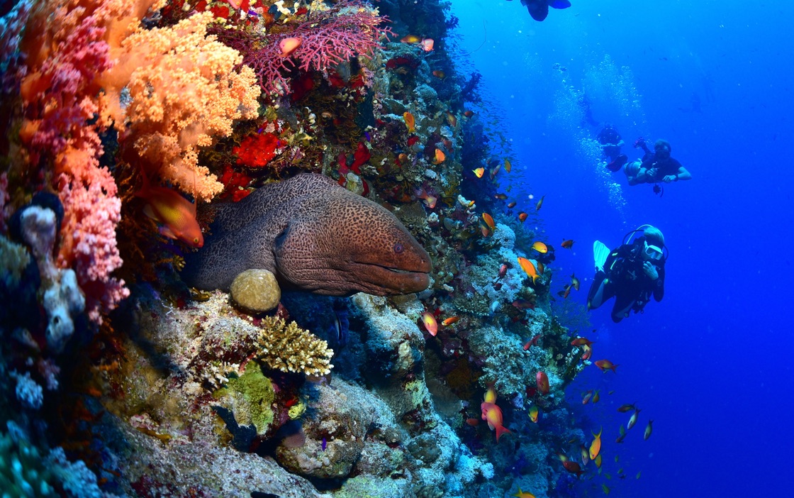 93 Day Advanced Diving Package  For Certified Divers