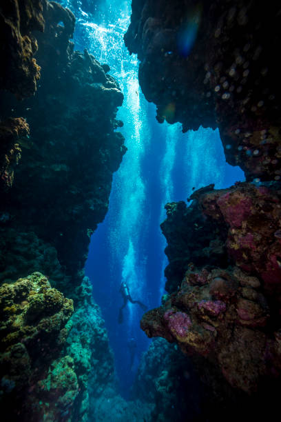 19Giornata di Immersioni a Dahab Canyon e Blue Hole